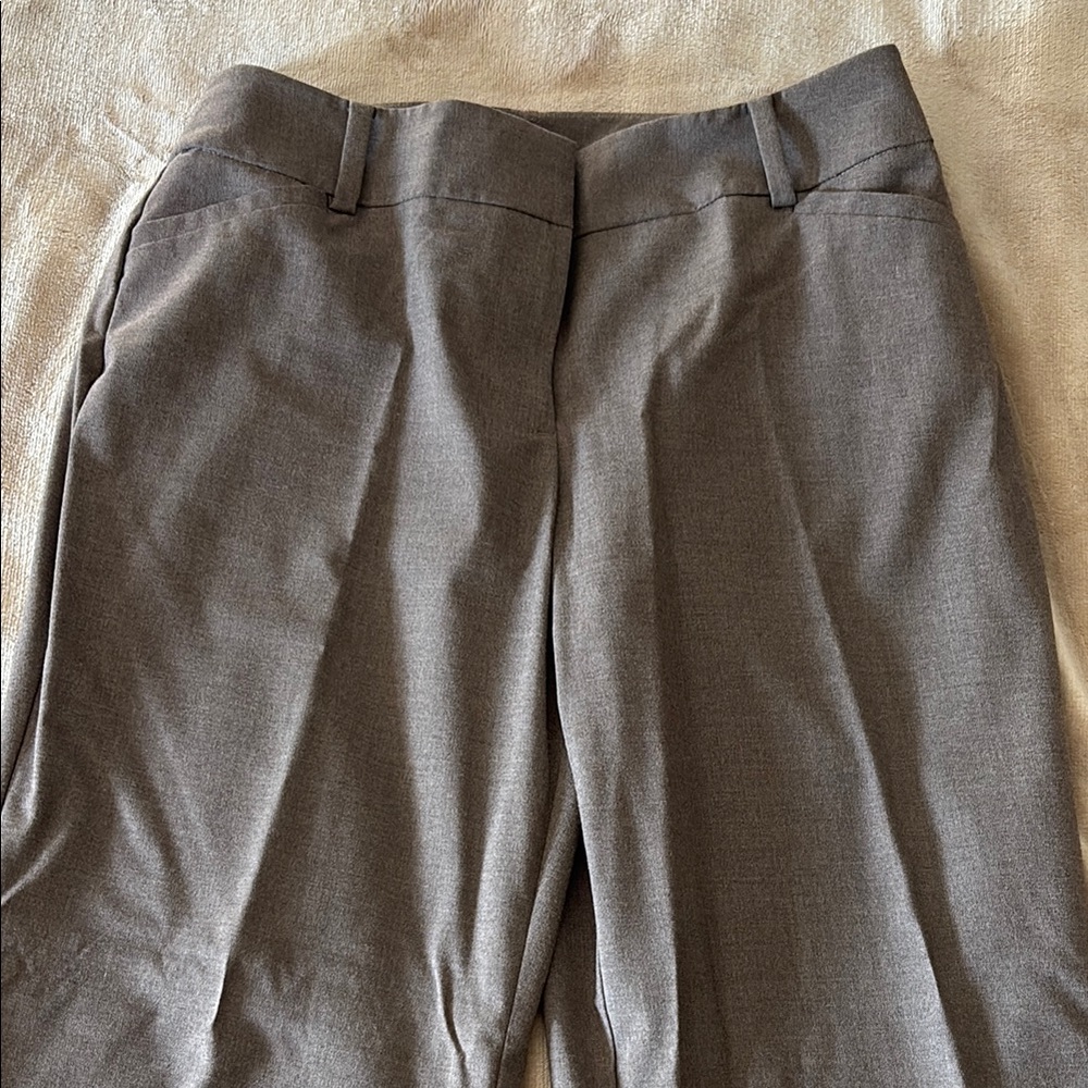 Ann Taylor Dress Pants